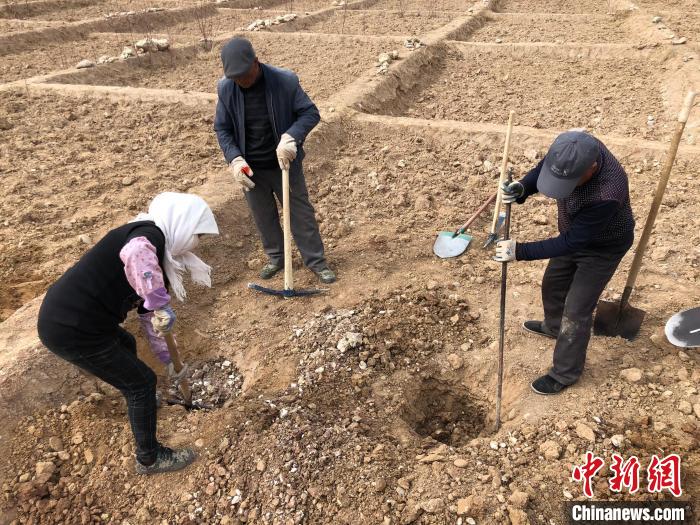 資料圖為建行青海省分行綠化區(qū)施工隊(duì)隊(duì)員處理亂石。　建行青海省分行供圖