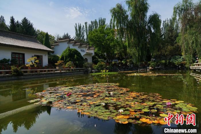 圖為西寧園林植物園秋日風(fēng)景別有韻味?！●R銘言 攝