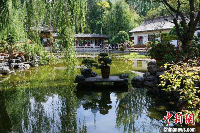 圖為西寧園林植物園秋日風(fēng)景別有韻味?！●R銘言 攝