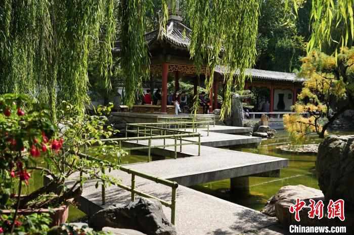 圖為西寧園林植物園秋日風(fēng)景別有韻味?！●R銘言 攝