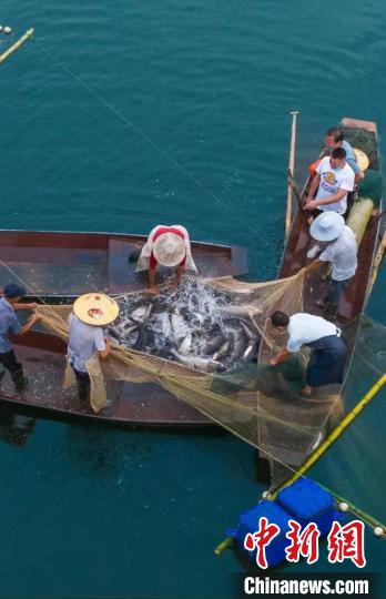 捕魚現(xiàn)場?！≈鬓k方供圖