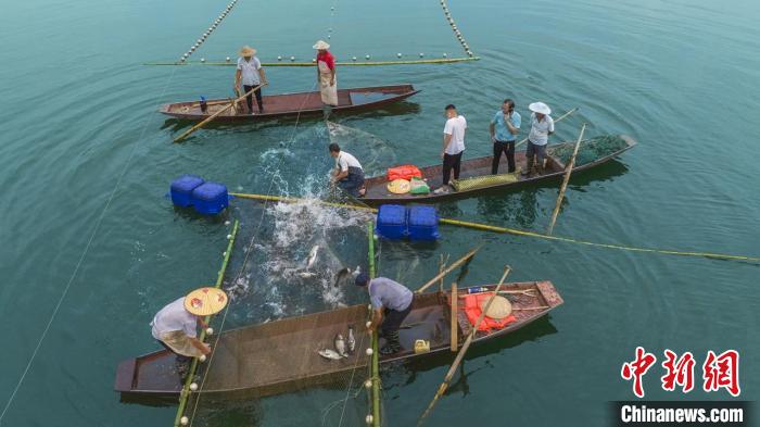 捕魚現(xiàn)場?！≈鬓k方供圖
