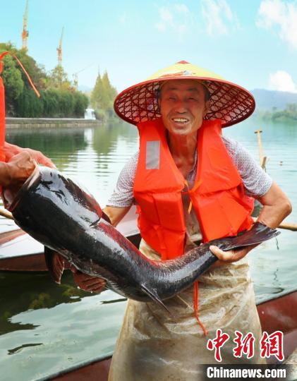 工作人員展示捕撈成果?！≈鬓k方供圖