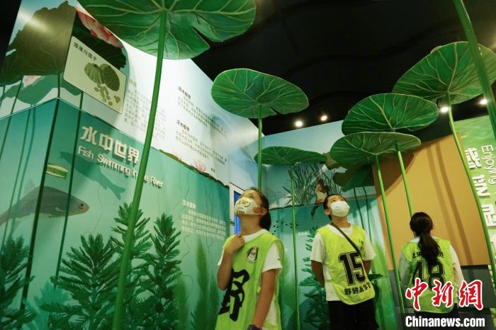 圖為小朋友在青海西寧湟水國家濕地公園科普館內(nèi)參觀學(xué)習(xí)?！●R銘言 攝