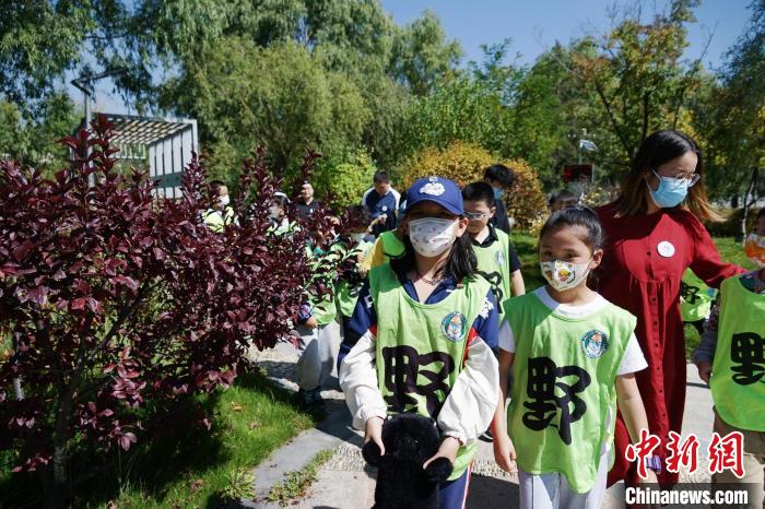 圖為小朋友在青海西寧湟水國家濕地公園內(nèi)認(rèn)識(shí)植物。　馬銘言 攝