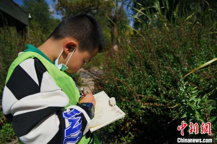 圖為小朋友在青海西寧湟水國家濕地公園內(nèi)認(rèn)識(shí)植物并進(jìn)行繪畫。　馬銘言 攝