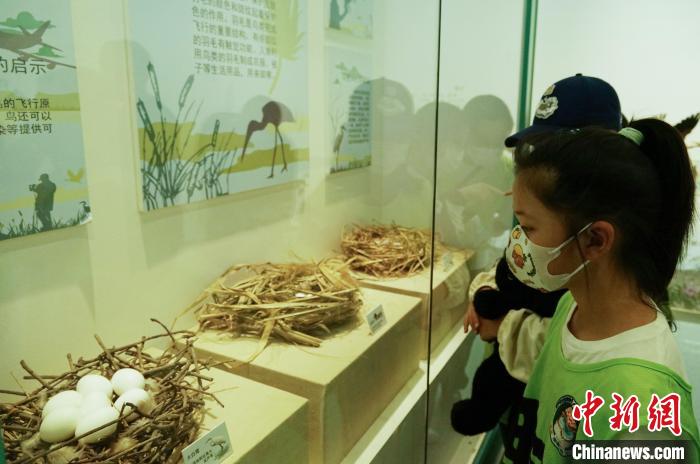 圖為小朋友在青海西寧湟水國家濕地公園科普館內(nèi)參觀學(xué)習(xí)?！●R銘言 攝