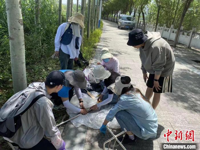 圖為科研人員正在進(jìn)行監(jiān)測(cè)。　西寧湟水國(guó)家濕地公園供圖