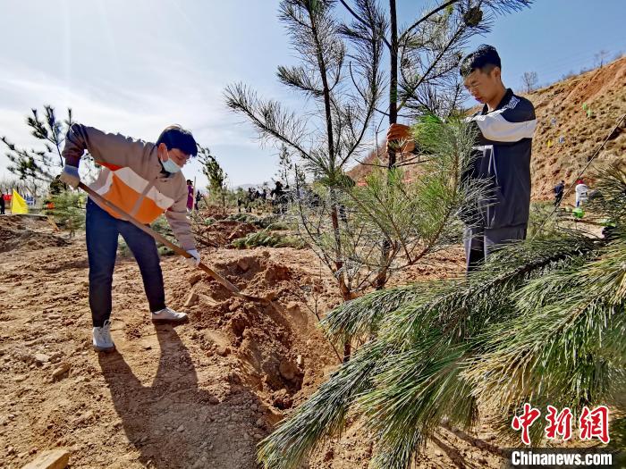 圖為西寧市城東區(qū)義務植樹活動現(xiàn)場?！?zhí)砀?攝