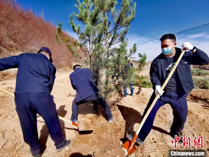 圖為西寧市城東區(qū)義務植樹活動現(xiàn)場?！?zhí)砀?攝