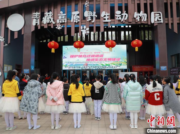 圖為青海省西寧市開展第42屆“愛鳥周”科普宣傳活動?！●R銘言 攝