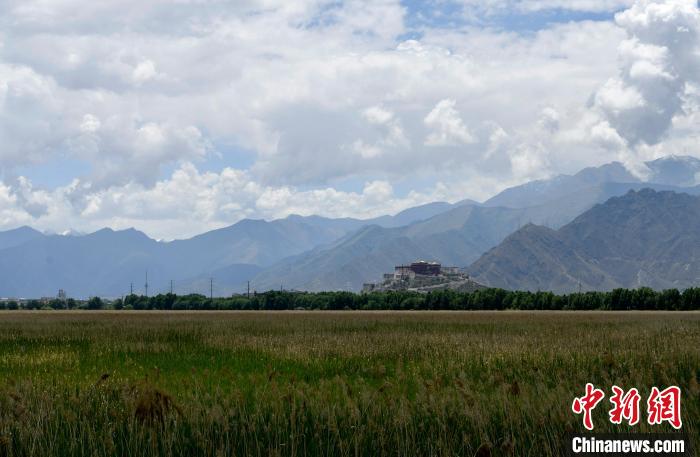 圖為拉薩拉魯濕地?！±盍?攝
