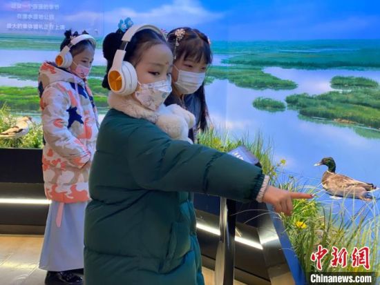 圖為學(xué)生在西寧市第一中學(xué)濕地科普宣教館內(nèi)參觀。　李江寧 攝