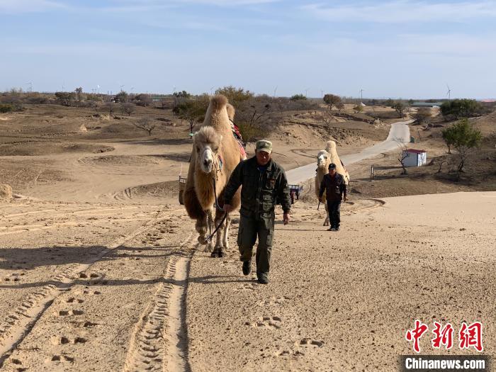 圖為科爾沁沙地中的兩名牽駝人。　奧藍 攝