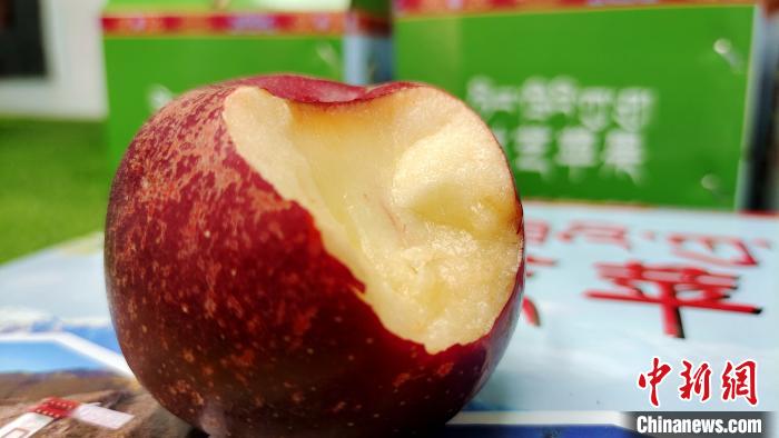 圖為通麥村特色甜心蘋(píng)果?！∝暽＠?攝