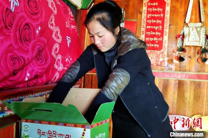 圖為通麥村村民巴桑拉姆把精心挑選的蘋(píng)果裝箱。　貢桑拉姆 攝