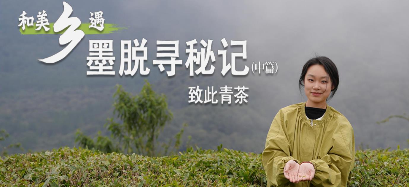 360截圖20250318144721718.jpg