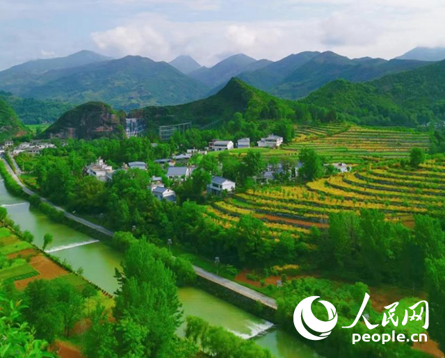 陜西商洛漫川關(guān)鎮(zhèn)民宿群。人民網(wǎng) 王麗攝