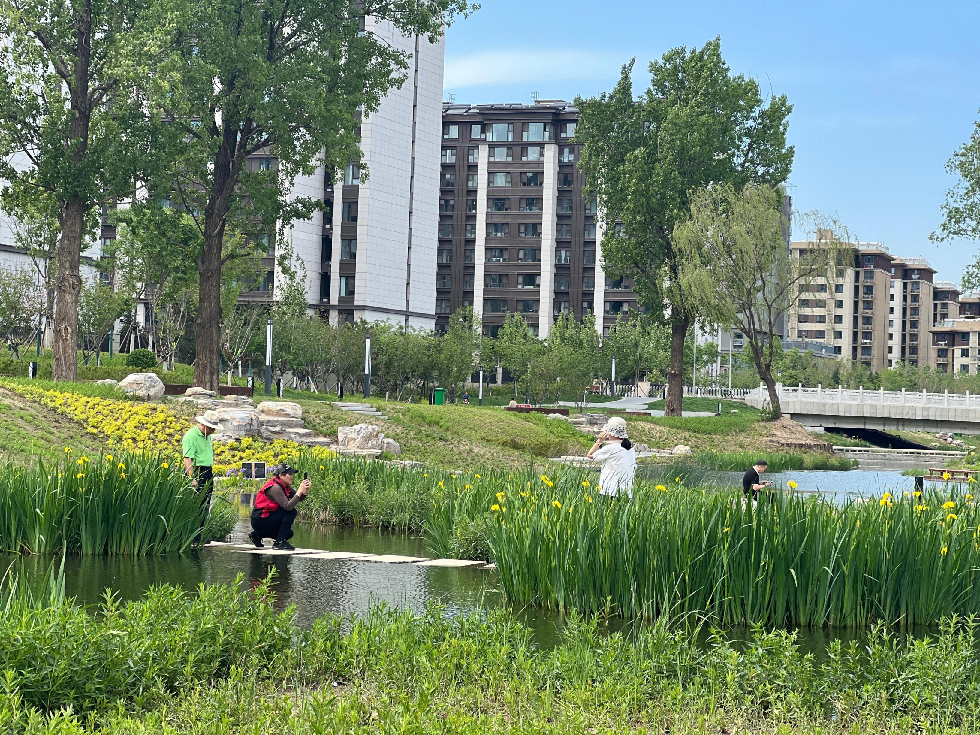 五一渠生態(tài)濱河公園內(nèi)，市民正在拍照留念。人民網(wǎng) 歐陽易佳攝