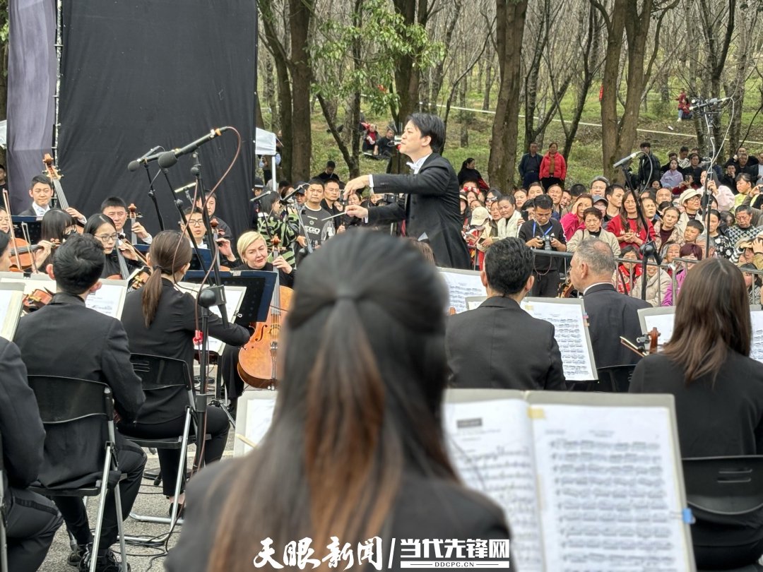 貴陽路邊音樂會(huì)·貴安櫻花園專場(chǎng)交響樂現(xiàn)場(chǎng)。丁亞 文丹 攝