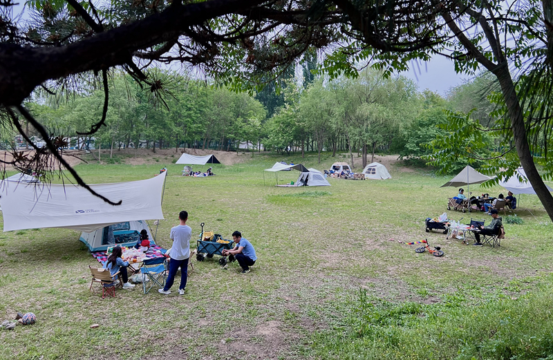 “自駕+露營(yíng)”等多元模式受熱捧。人民網(wǎng)記者 王連香攝