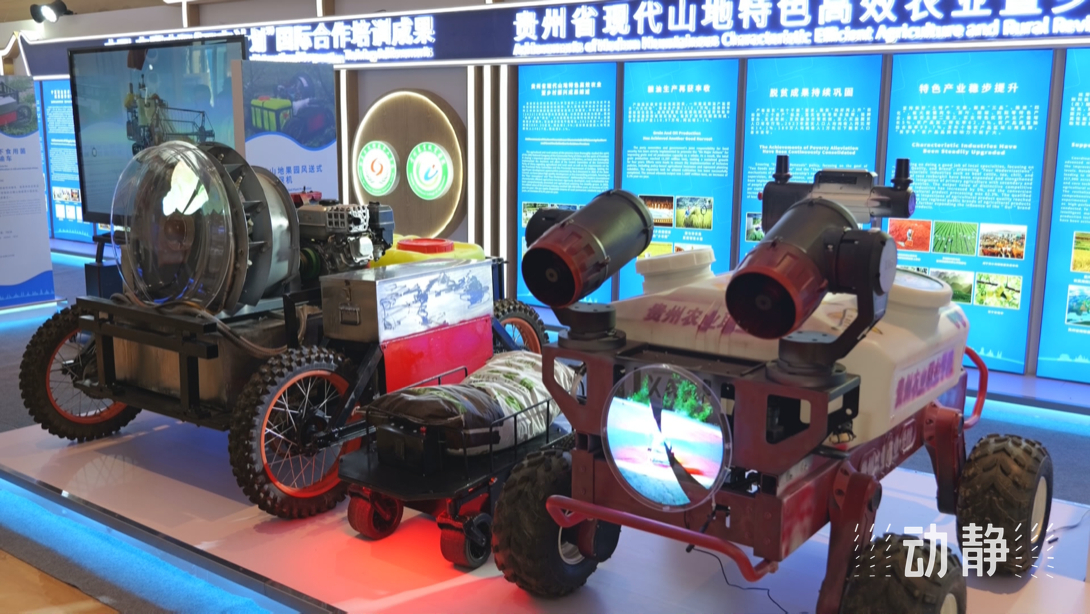 展示成果分享經(jīng)驗(yàn)，中國(guó)—東盟教育交流周深化合作共創(chuàng)未來！