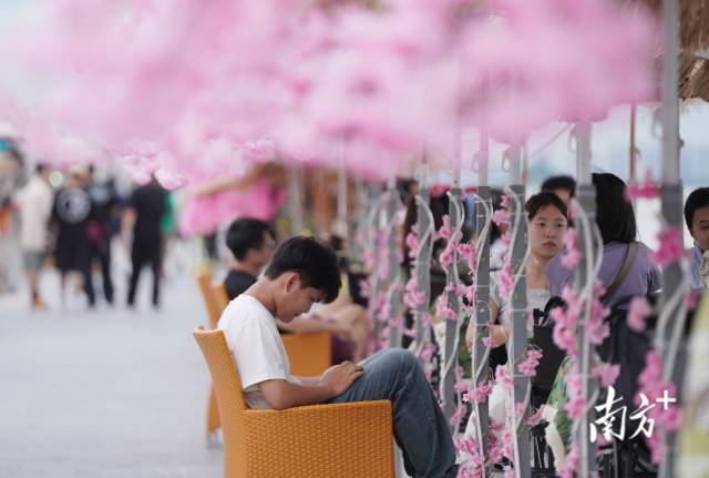 崖口村東堤靠近海岸，成為了熱門打卡休閑地點(diǎn)。