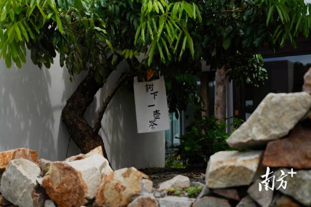 崖口村內(nèi)的文藝民宿。