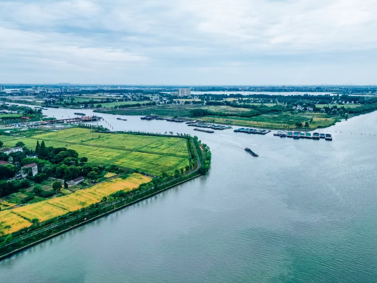 太浦河沿岸好風(fēng)光。吳橫軒攝