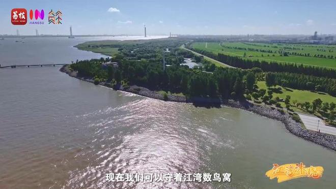 “縣”在起筆 青綠繪江山 | 江灣沐曉：褪去“銹色”走“金線”，繡出生態(tài)與產(chǎn)業(yè)“雙面錦”