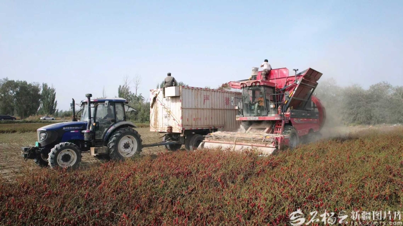 mmexport1757837636698