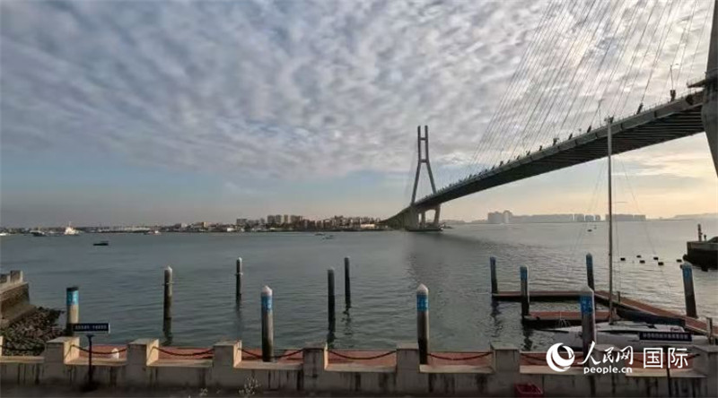 海南省儋州市洋浦大橋。人民網(wǎng) 薩拉·阿芙澤爾攝