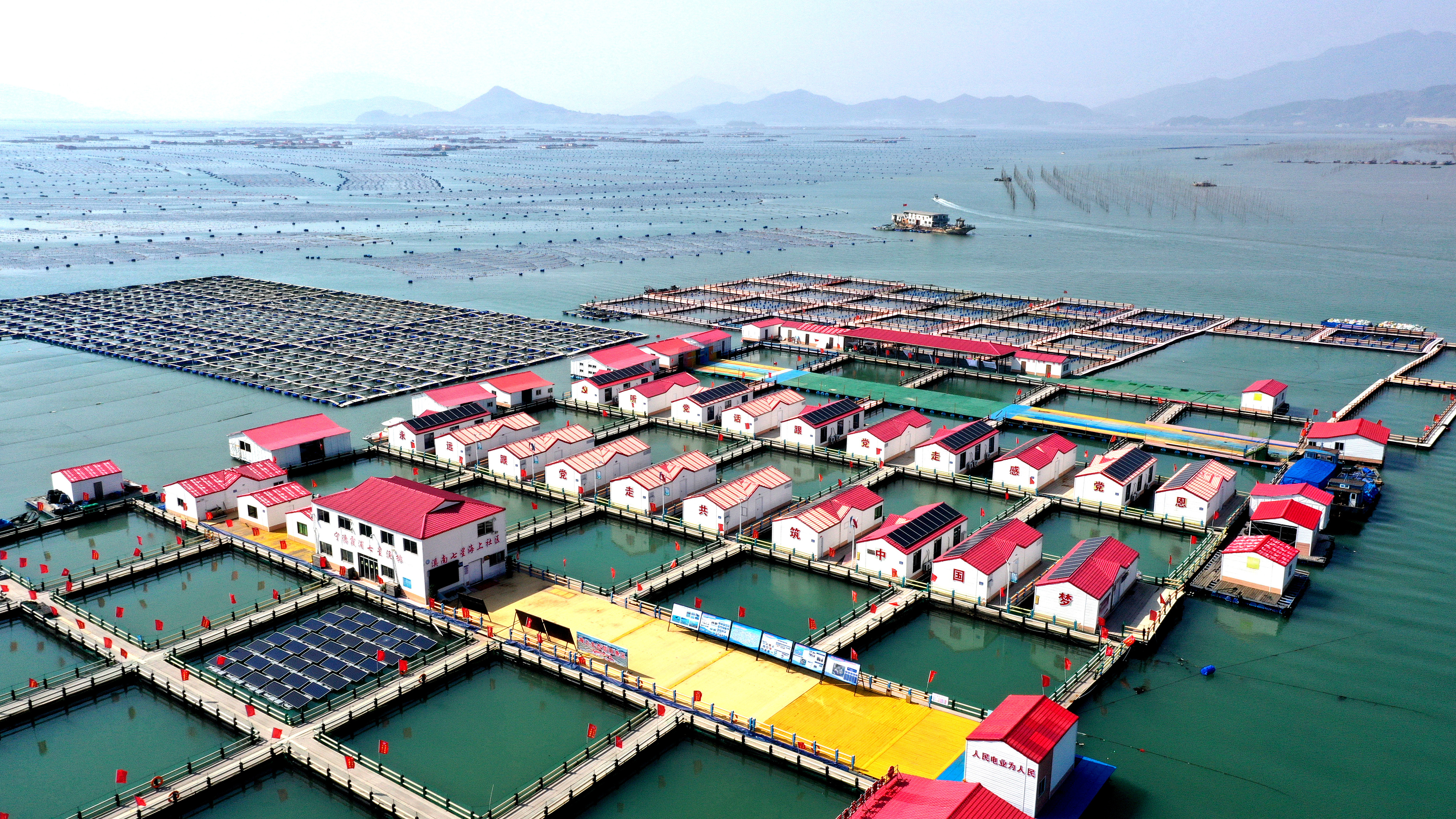 2024年3月20日，福建省寧德市，霞浦縣溪南鎮(zhèn)七星村漁排養(yǎng)殖示范區(qū)，漁民駕駛養(yǎng)殖船進(jìn)行海參養(yǎng)殖作業(yè)。