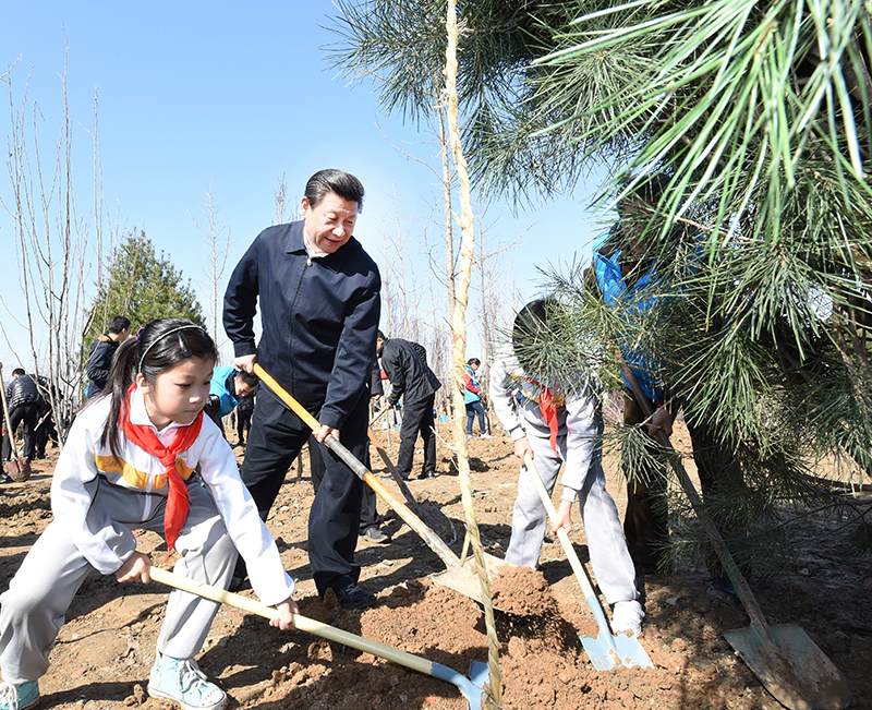2015年4月3日，習(xí)近平總書記同大家一起植樹(shù)。