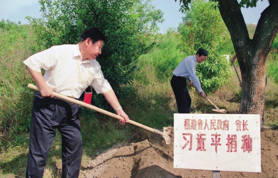 2001年10月，習近平在龍巖市長汀縣調研水土流失治理工作，在河田世紀生態(tài)園為樹培土。圖源：《習近平在福建（下）》