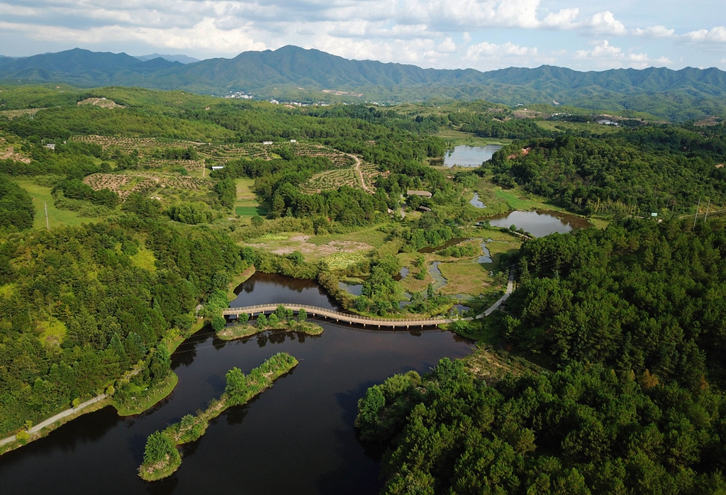 福建省龍巖市長汀縣的長汀汀江國家濕地公園景色（2020年7月28日攝，無人機照片）。新華社記者 魏培全 攝