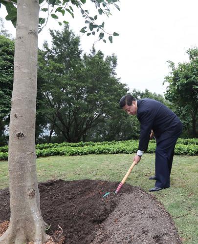 2012年12月7日至11日，習(xí)近平在廣東省考察工作。這是8日上午，習(xí)近平在深圳蓮花山公園種下一棵高山榕樹。新華社記者 蘭紅光 攝