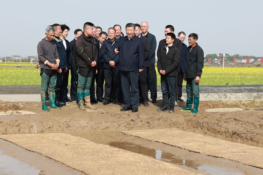 2024年3月18日至21日，中共中央總書記、國(guó)家主席、中央軍委主席習(xí)近平在湖南考察。這是19日下午，習(xí)近平在常德市鼎城區(qū)謝家鋪鎮(zhèn)港中坪村走進(jìn)田間，察看秧苗培育和春耕備耕進(jìn)展。新華社記者 王曄 攝