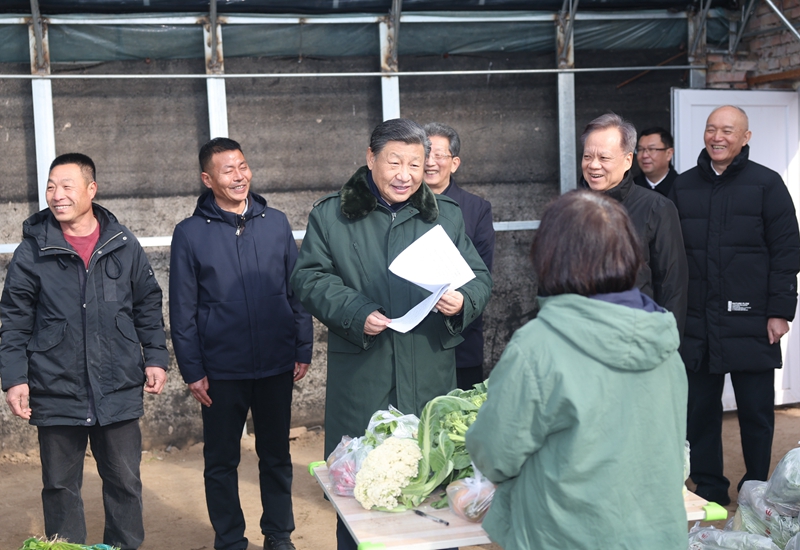 2024年2月1日，習(xí)近平總書記在天津市西青區(qū)辛口鎮(zhèn)第六埠村，走進(jìn)大棚同菜農(nóng)親切交流。
