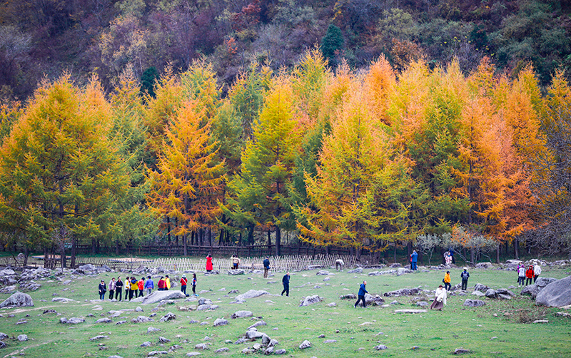 2023年10月27日，深秋時節(jié)的陜西秦嶺太子嶺漫山紅黃、色彩交織，進(jìn)入最佳觀賞期。