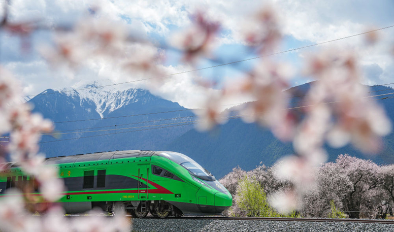 2025年4月2日，復興號列車穿行在拉林鐵路林芝段。