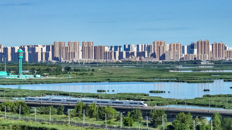 2025年8月17日，一列動車組列車駛過大慶東站。