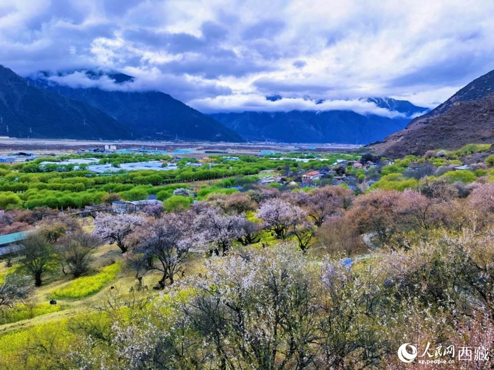 桃花從中的“童話小鎮(zhèn)”。人民網(wǎng) 李海霞攝
