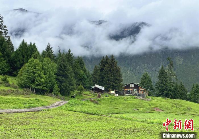 6月10日，魯朗小鎮(zhèn)高山牧場景區(qū)風(fēng)光。　冉文娟 攝