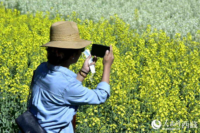 大片油菜花吸引游客到來(lái)。人民網(wǎng) 李海霞攝