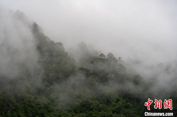雨后勒布溝的云霧。　江飛波 攝