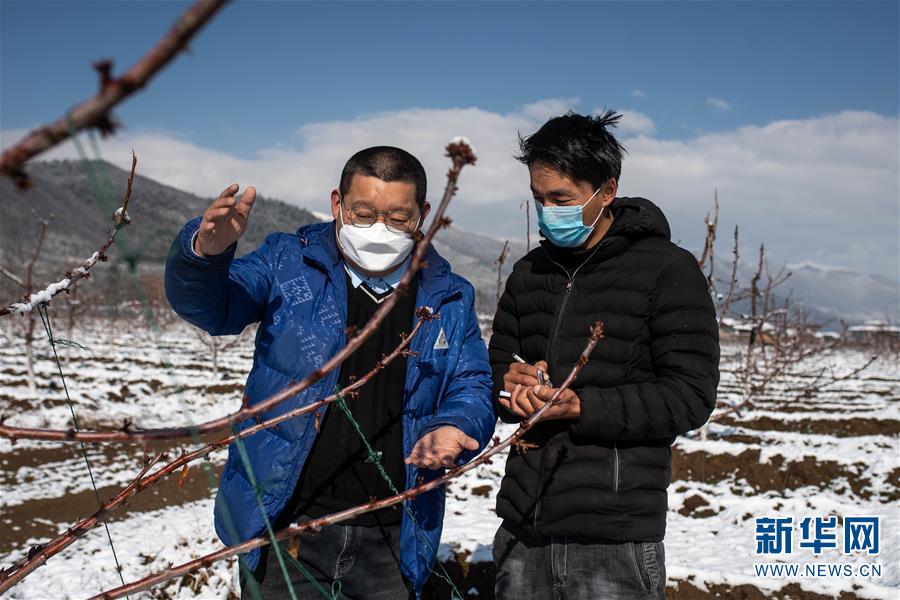 （脫貧攻堅(jiān)）（2）云南迪慶藏區(qū)：打好防疫脫貧兩場戰(zhàn)役