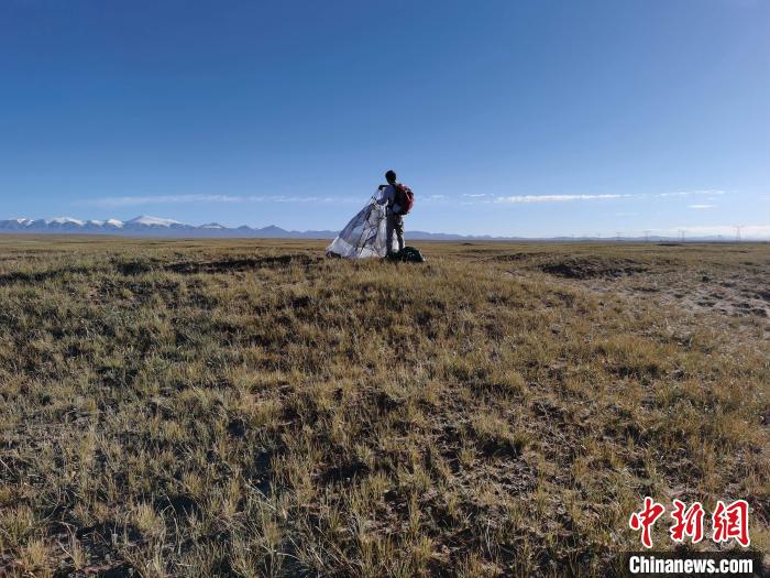 圖為索南達(dá)杰保護(hù)站保護(hù)隊(duì)員在可可西里找到露營(yíng)的葉某。　鄧海平 攝
