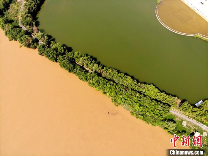 圖為2020年9月3日航拍黃河蘭州段濕地公園現(xiàn)黃河“鴛鴦鍋”。(資料圖) 高瑩 攝