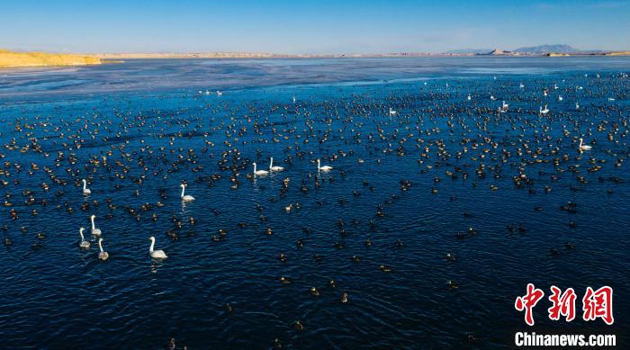 《柴達(dá)木盆地重點流域生態(tài)保護規(guī)劃》編制調(diào)研工作正式啟動